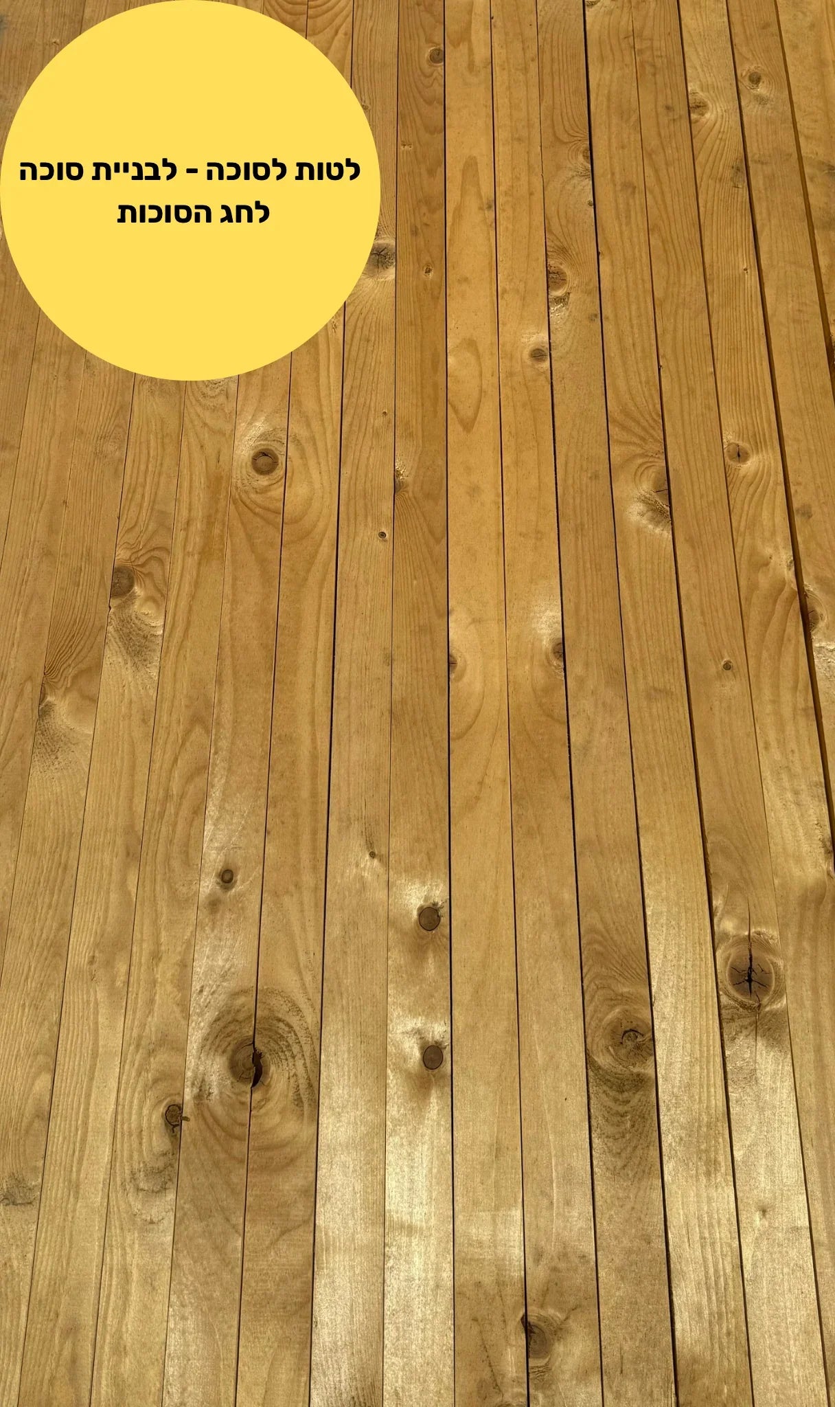 לטות עץ לסוכה באורך 3.6 מטר לתמיכה בסכך ולקישוטים – חבילת 5 יחידות מעץ פיני מוקצע